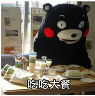 熊本熊可爱表情包:标准男友!工作赚钱的意义!