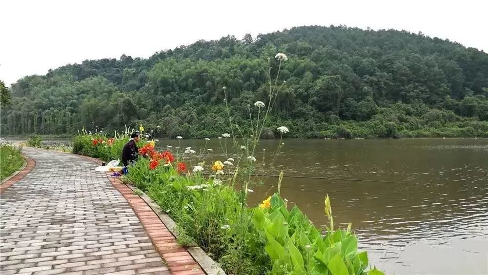 来安居黄家坝, 你可以享受悠闲, 也可以尽情撒欢.