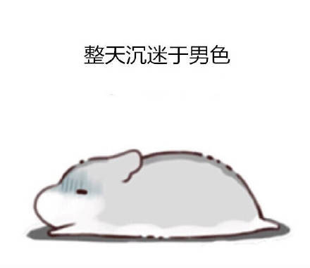 可爱小仓鼠的萌萌哒日常表情包