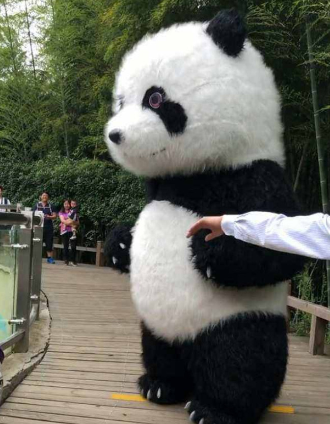 看看这些假熊猫,网友:这也太