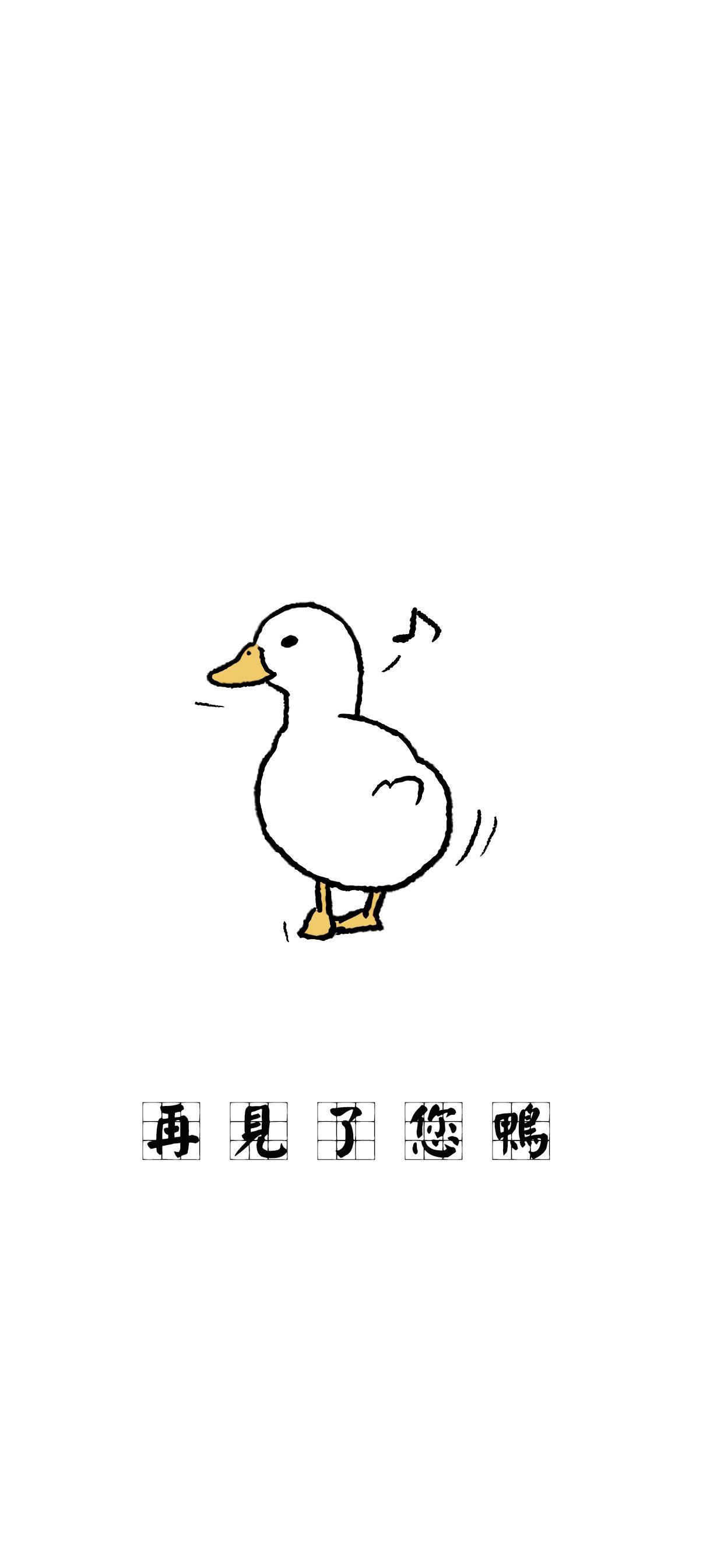 壁纸 可爱的小鸭子