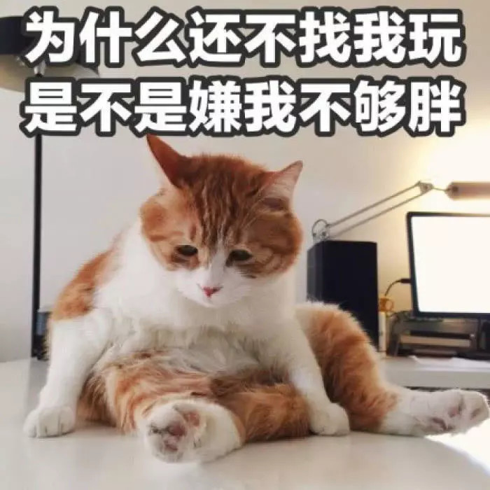 520"表白"专用表情包:等睡在你怀里,我就不熬夜了