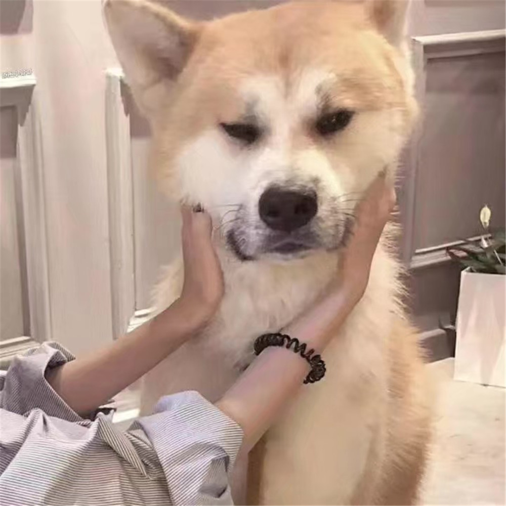 最近超火的