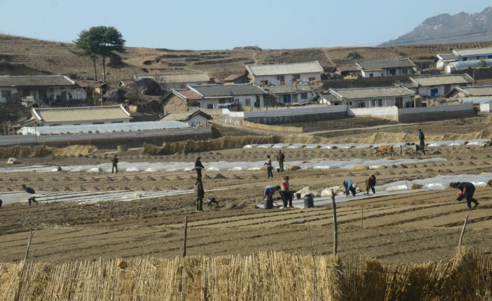 朝鲜视觉:朝鲜城里人和农村人的不同生活