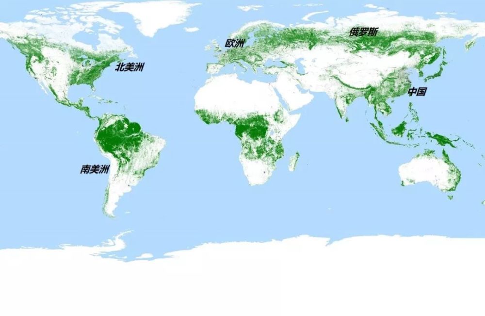 德国卫星扫描各国森林覆盖率,中国有所进步,印度显得难堪了