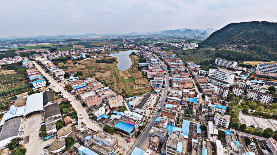 广西南宁武鸣区一个大镇,和隆安县接壤,是全国重点镇
