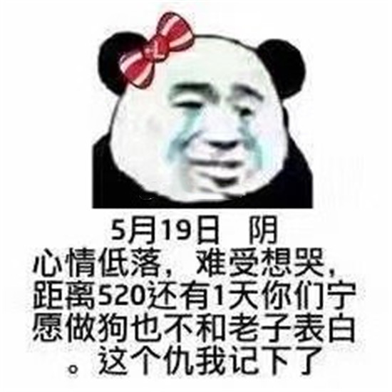 520撩妹搞笑表情包,买一个大西瓜,送一个我这样的小傻瓜