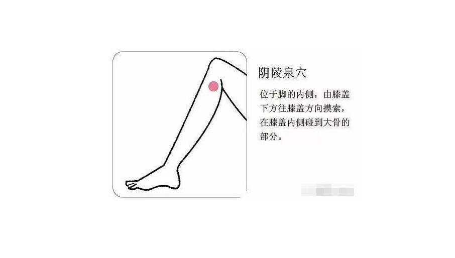 阴陵泉