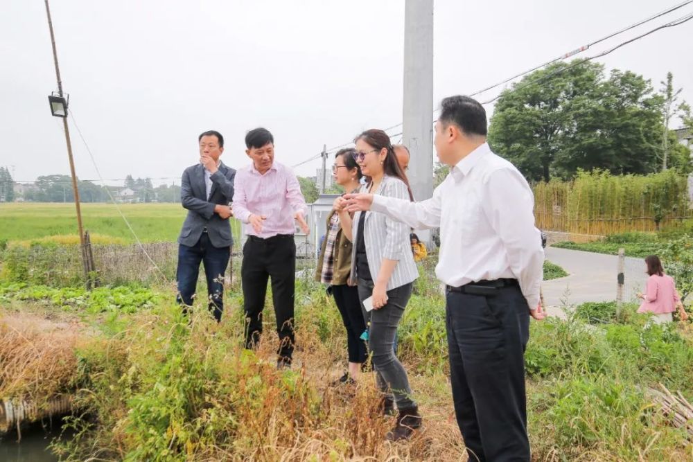 庙头村,沈建强,平望镇,村民