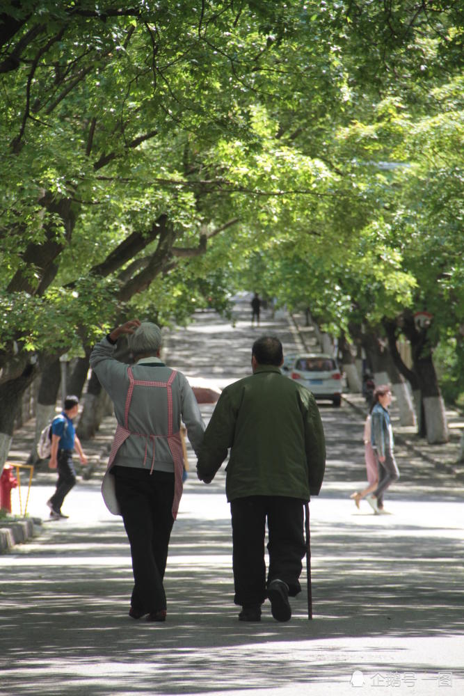 老太太牵97岁战斗英雄过马路,被路人赞最美背影