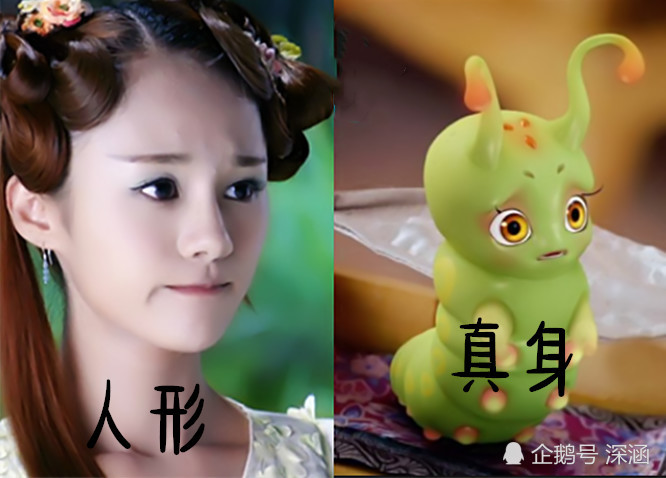 人形vs真身,忍了糖宝,忍了凤九,看到旭风:老夫的花痴心犯了