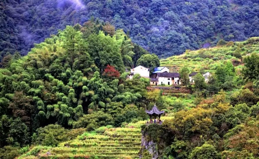 石台县,乡村振兴,黄山,大山村