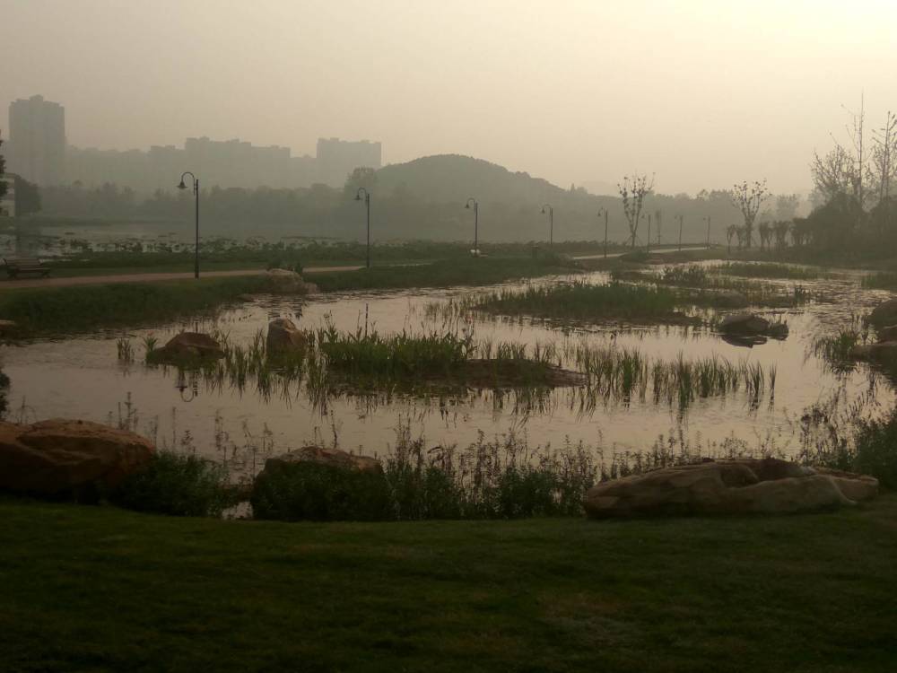 洋澜湖,湿地,公园,鄂州,绿道