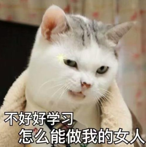 搞笑萌猫表情包:好委屈,但是不说,就不说!