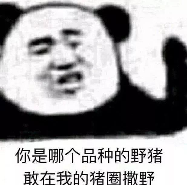 qq斗图必备表情包:大家安静,都是炎黄子孙,给我炎黄一