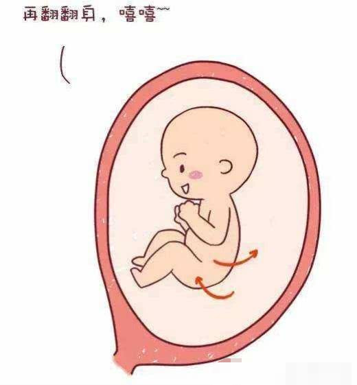 怀孕26周了,胎儿在肚子会是什么姿势呢?说出来你都不一定会信