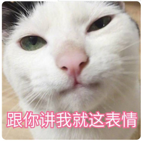 呆萌小猫软萌撒娇表情包集合:裹紧我的小被子!