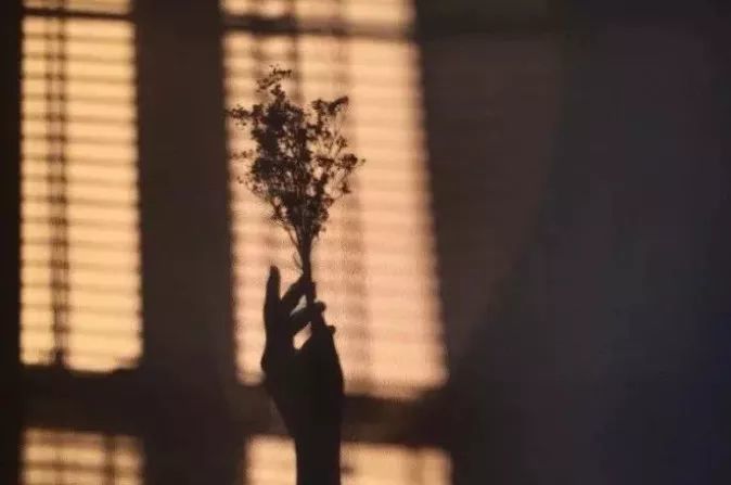 只有懂得珍惜,才配拥有!非常精辟,值得一看