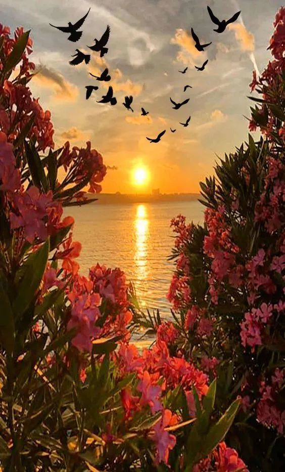 不管是不是真的,这些美照片,看得人就是心灵舒心畅快