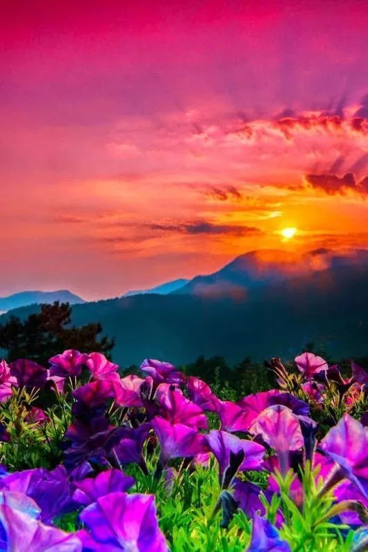 不管是不是真的,这些美照片,看得人就是心灵舒心畅快