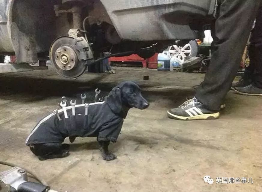 图片 13