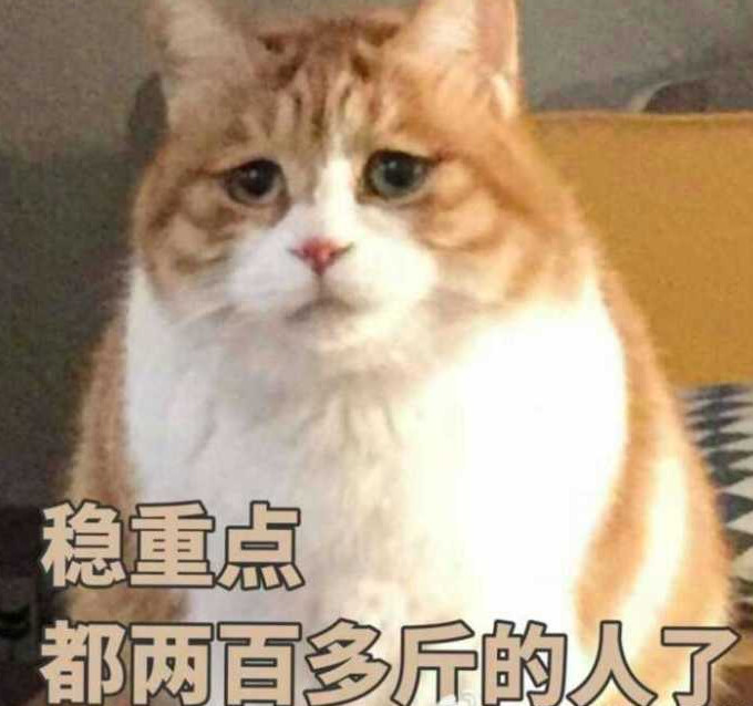 搞笑萌猫表情包:稳重点儿,都两百多斤的人了!