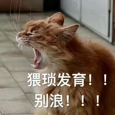 霸气小猫委屈卖萌表情包:我快要哭了!撒娇必备!