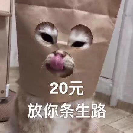 搞笑萌猫表情包:20元,放你条生路!