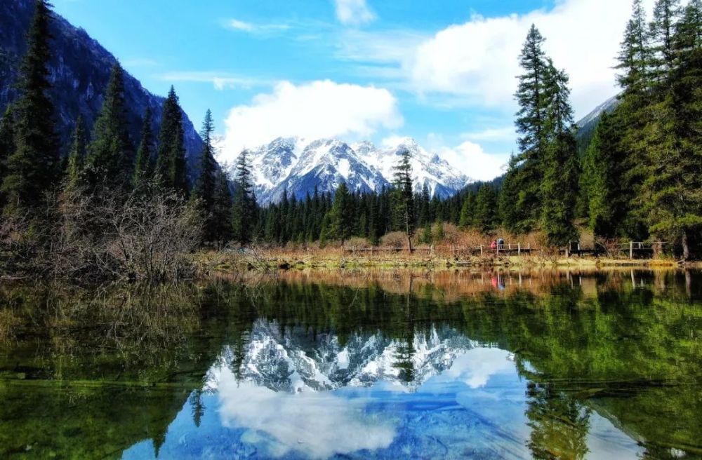 探索:绵阳平武隐藏在大山深处的深林秘境