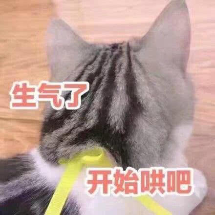 搞笑萌猫表情包:捂住耳朵就不会有悲伤了!