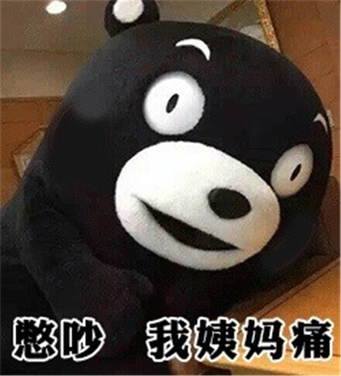 可爱熊本熊表情包:我有一个恋爱,想和你谈谈