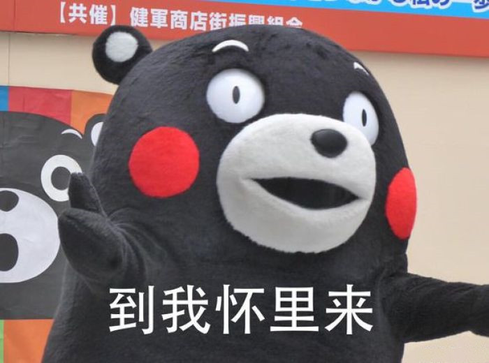 可爱熊本熊表情包:死猪不怕开水烫,越是没钱我越浪