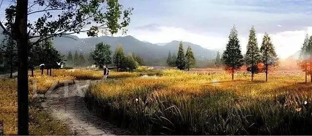 泸州长江湿地公园预计7月开园,一组美照先睹为快!