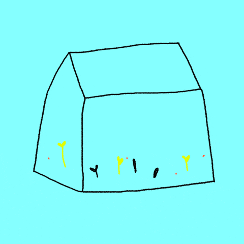 动图来自: giphy stefanie shank kochstrasseempty potnot