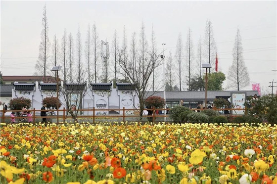 5月22日,成都熊猫亚洲美食节新津分会场·集趣东华美食节在新津县花源