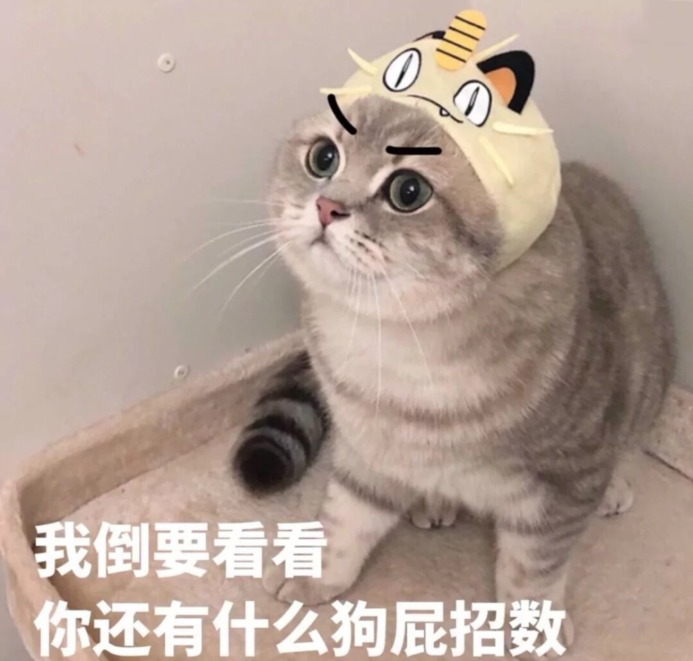 度娘都"搜不到"的表情包:要找对象冲我来,嫁给别人算什么本事