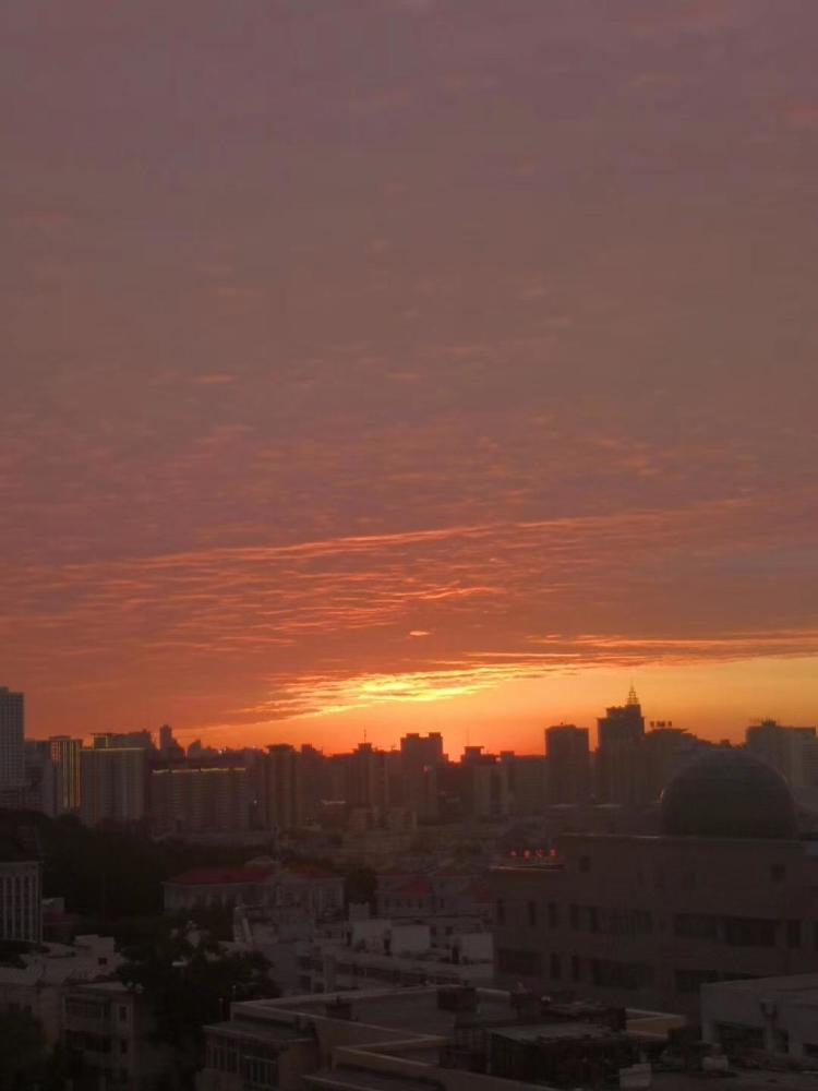 5月23日,一场中雨过后,傍晚的乌鲁木齐天空上出现了大片晚霞,不得不