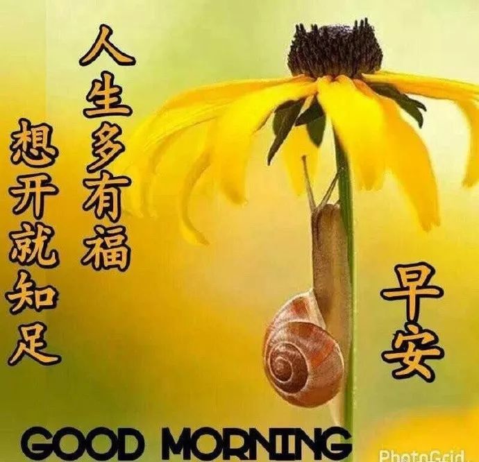 4月10日清晨最美早上好问候语祝福表情图片,早上好短信祝福语录