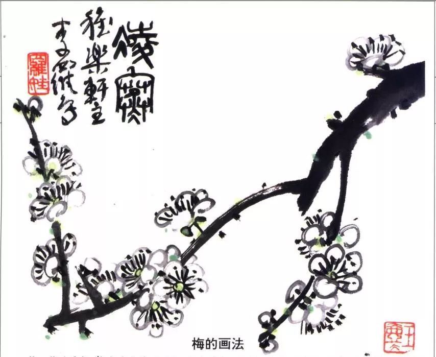 少儿学国画:梅花