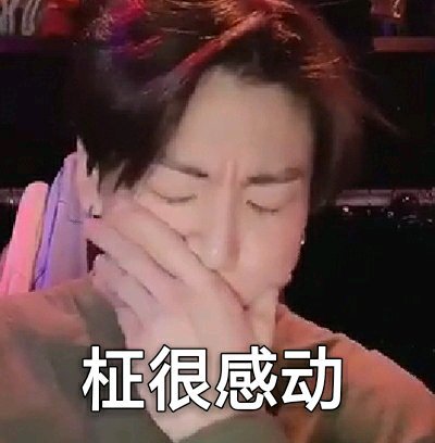 bts《防弹少年团》搞笑表情包:不懂为啥"柾"是很感动啦!