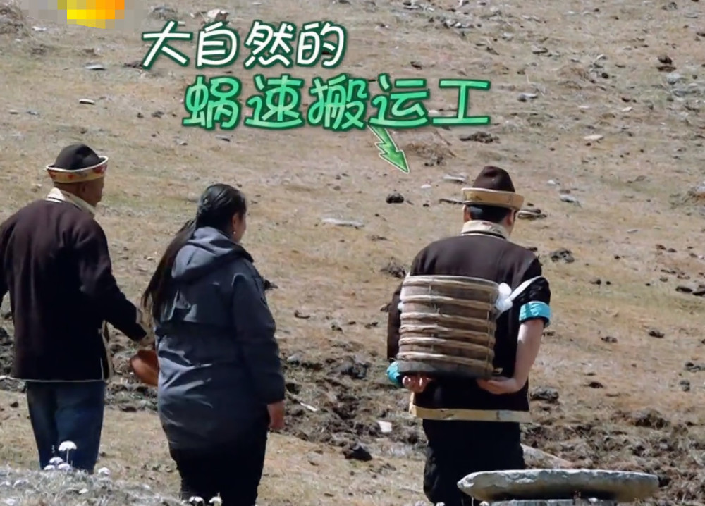 什么才是真正的大自然搬运工?请看钱枫的举动,太真实了!