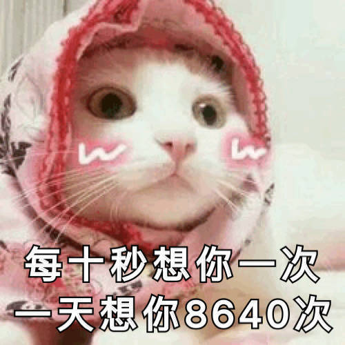 暖心猫猫可爱表情包:性感猫咪,在线陪聊!