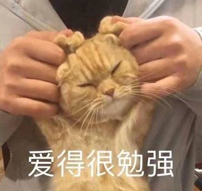 暖心猫咪可爱表情包:老娘凭什么认错!