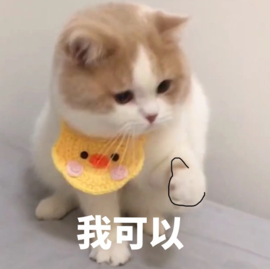 搞笑萌猫表情包:看!我用爪子点了个赞!