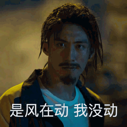 破冰行动搞笑表情包:是风在动,我没动!