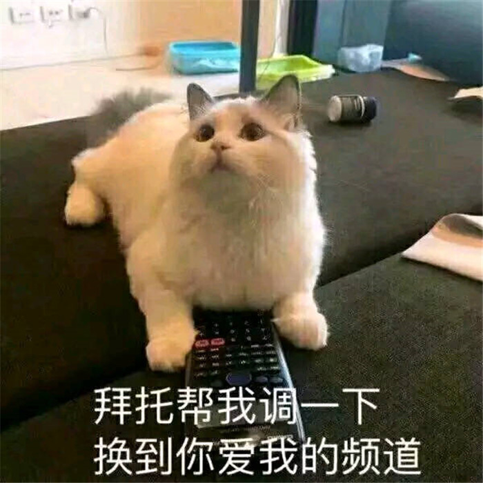 萌宠猫咪搞笑表白专用表情包:不要走,好不好!我偷小鱼