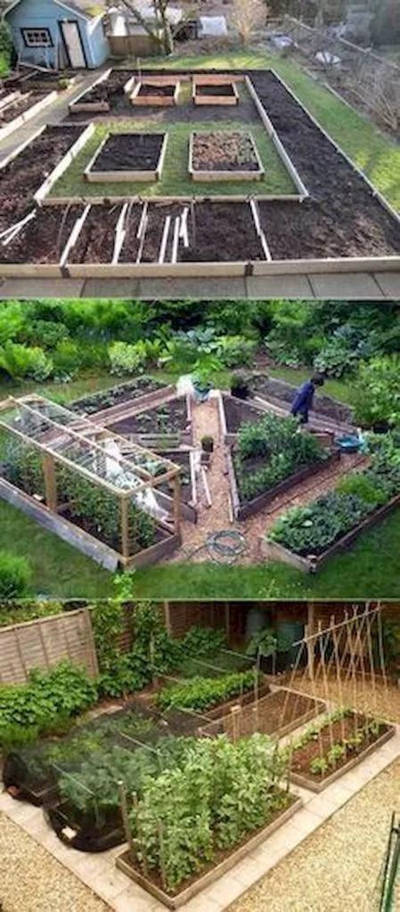 木围栏菜园 提前根据庭院的大小规划出菜园的形状的占地面积,再利用