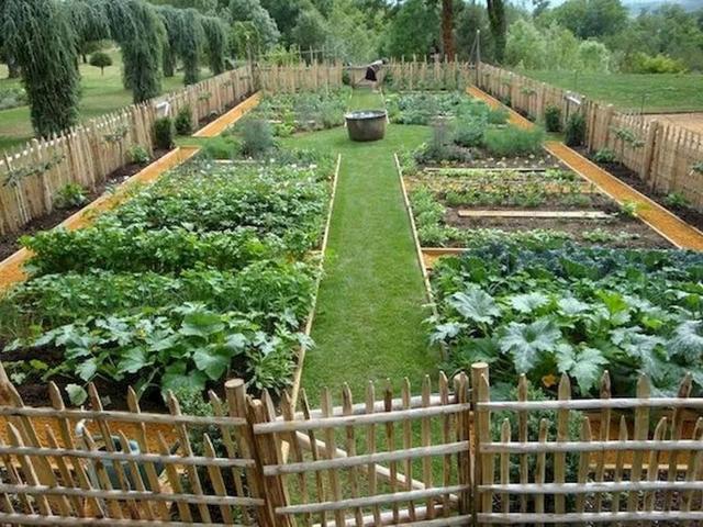 分享了这么多有颜有实力的庭院菜园样式,我最喜欢廊架菜园设计,既能