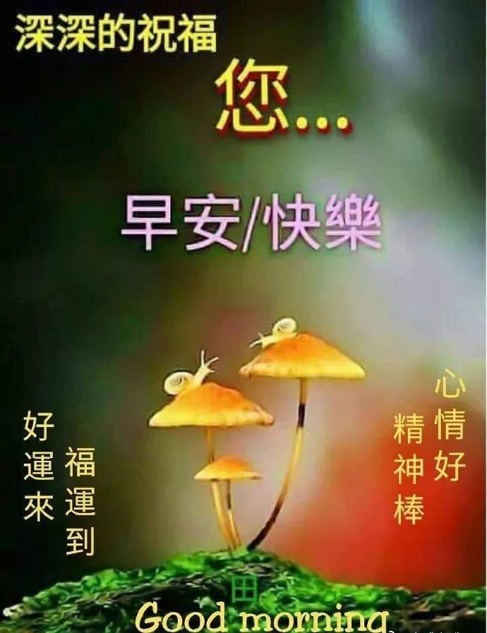 周末超温馨的早上好问候语动态图片,清晨早安祝福语表情动图