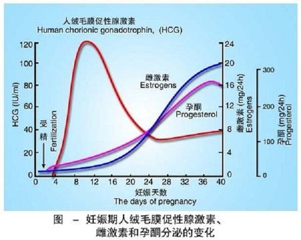 孕妈:只听过hcg和孕酮!